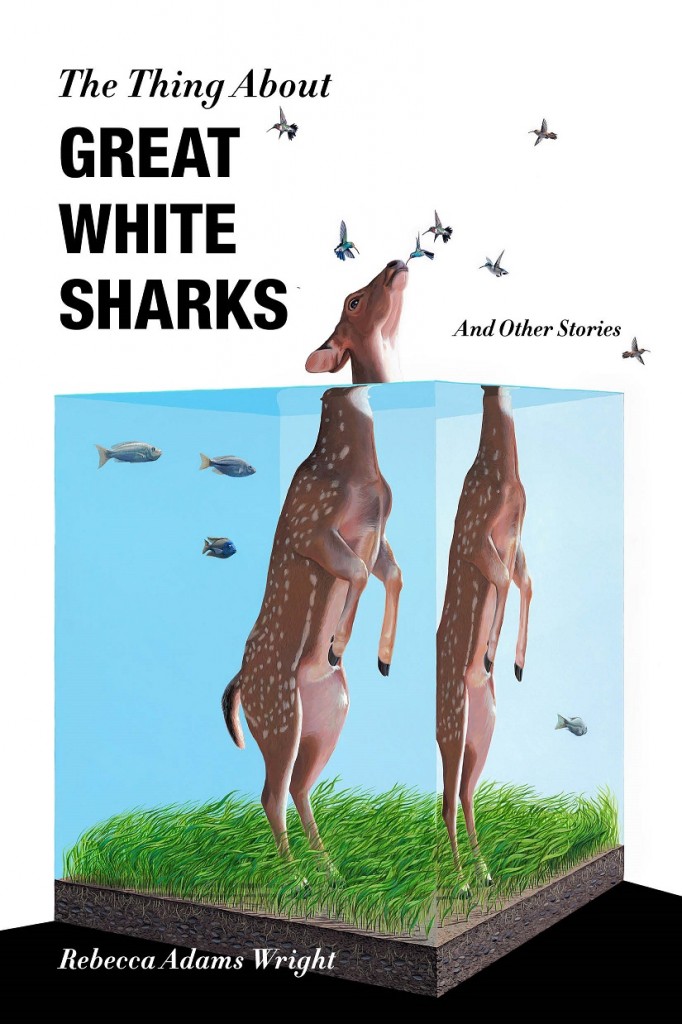 Wright-Thethingaboutgreatwhitesharks-17621-CV-FT_finalcover