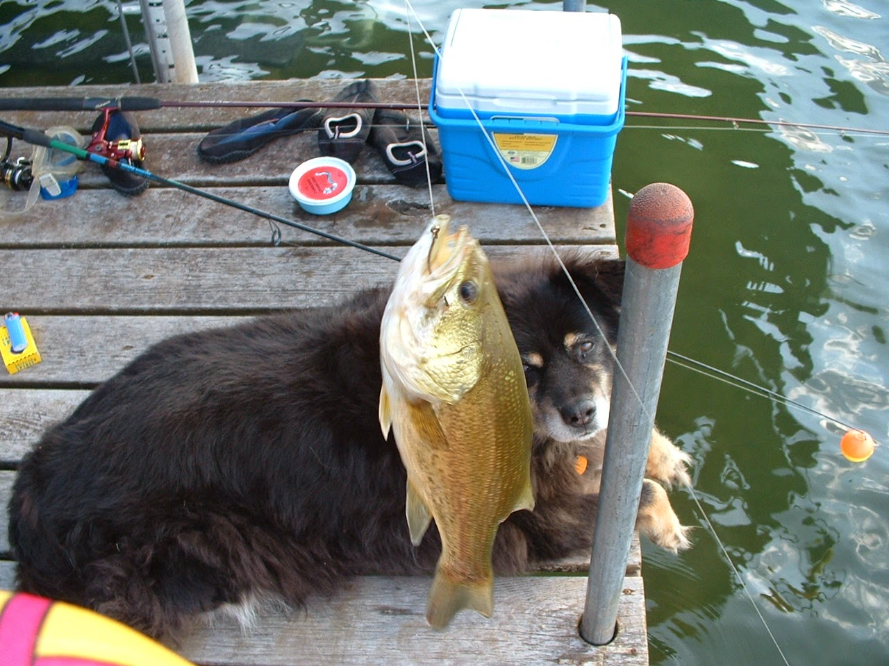 Chaunceys_favorite_catch_001