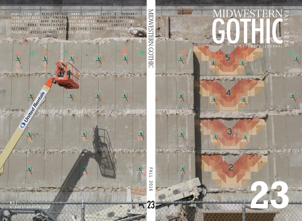 issue23_fall2016_cover-1
