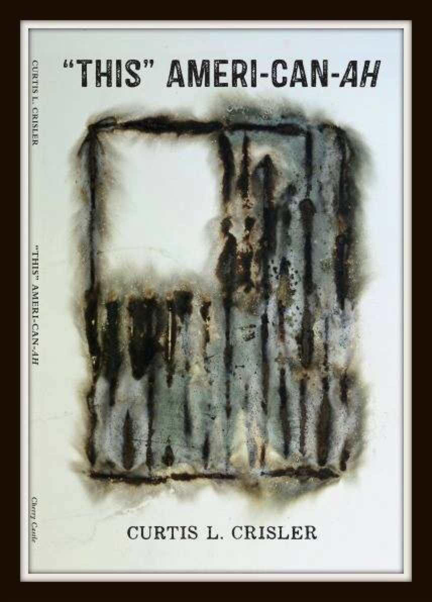This Ameri-can-ah book cover by Curtis Crisler