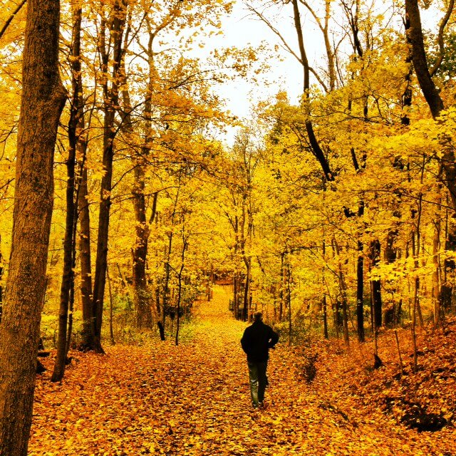 October Trails by Julianne Drew