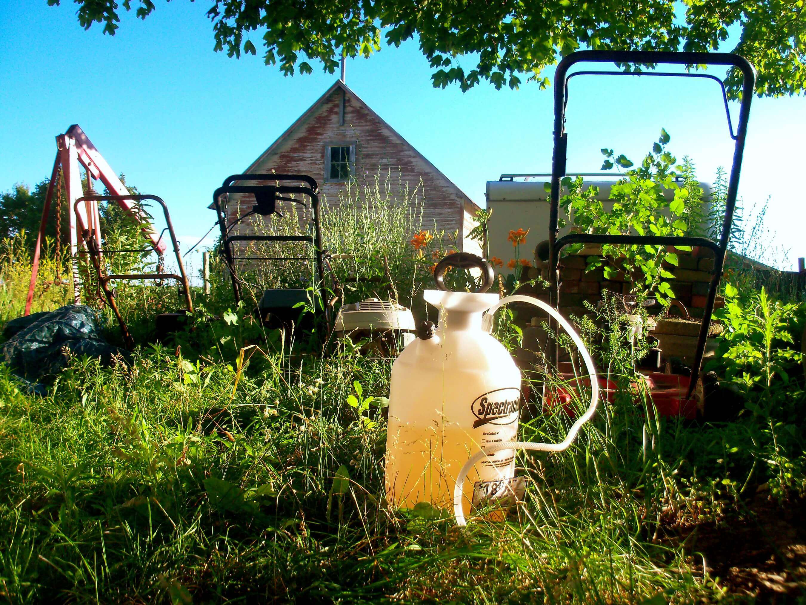 Beautiful Junk by Dawn Olsen
